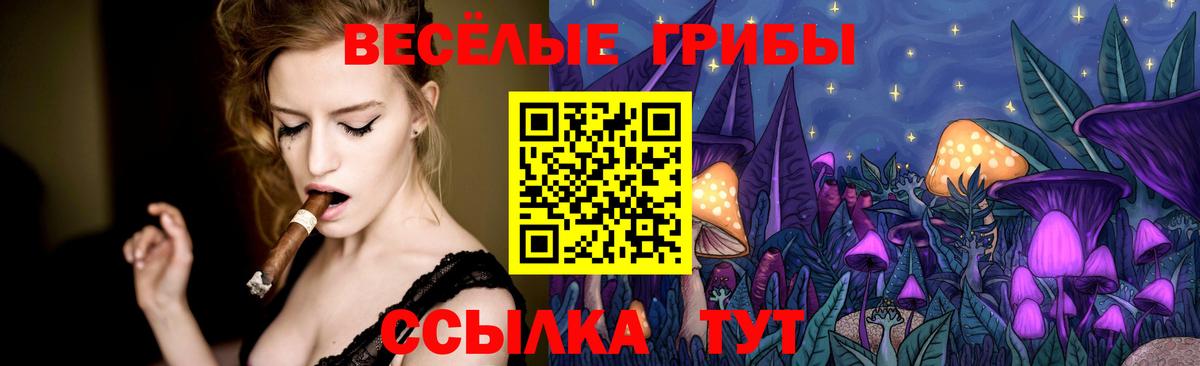 Тара  Псилоцибиновые грибы ЛСД  Псилоцибиновые грибы Psilocybe  Вход с VPN 
